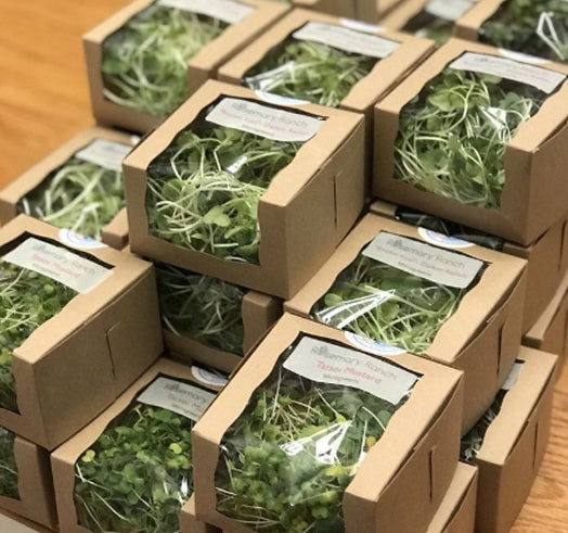 Unveiling the Environmental Marvels of Sustainable Packaging